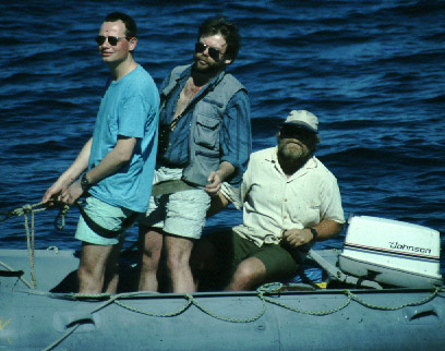 whales02.jpg (64692 bytes)